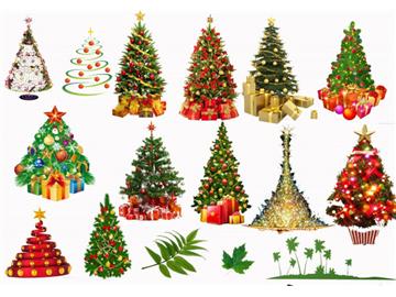 英国圣诞节即将到来，你知道圣诞树是怎么来的吗