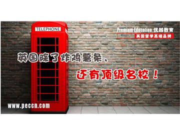 上海优越教育好不好