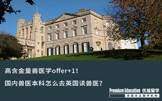 【本科申请】高含金量兽医学offer+1!国内兽医本科怎么去英国读兽医?