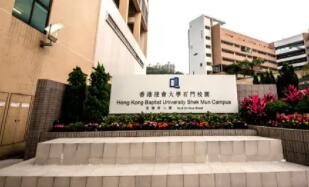【香港申请】香港地区热门商科专业申请条件&课程