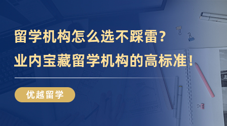 【留学中介】留学机构怎么选不踩雷？业内宝藏留学机构的高标准！