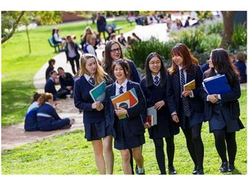 花4万元逛了美国10所大学 游学项目是否名副其实？
