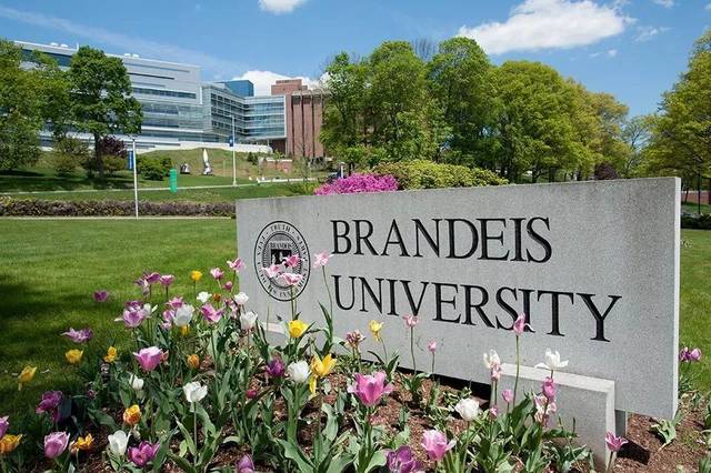 恭喜W同学获得布兰迪斯大学金融专业硕士通知书